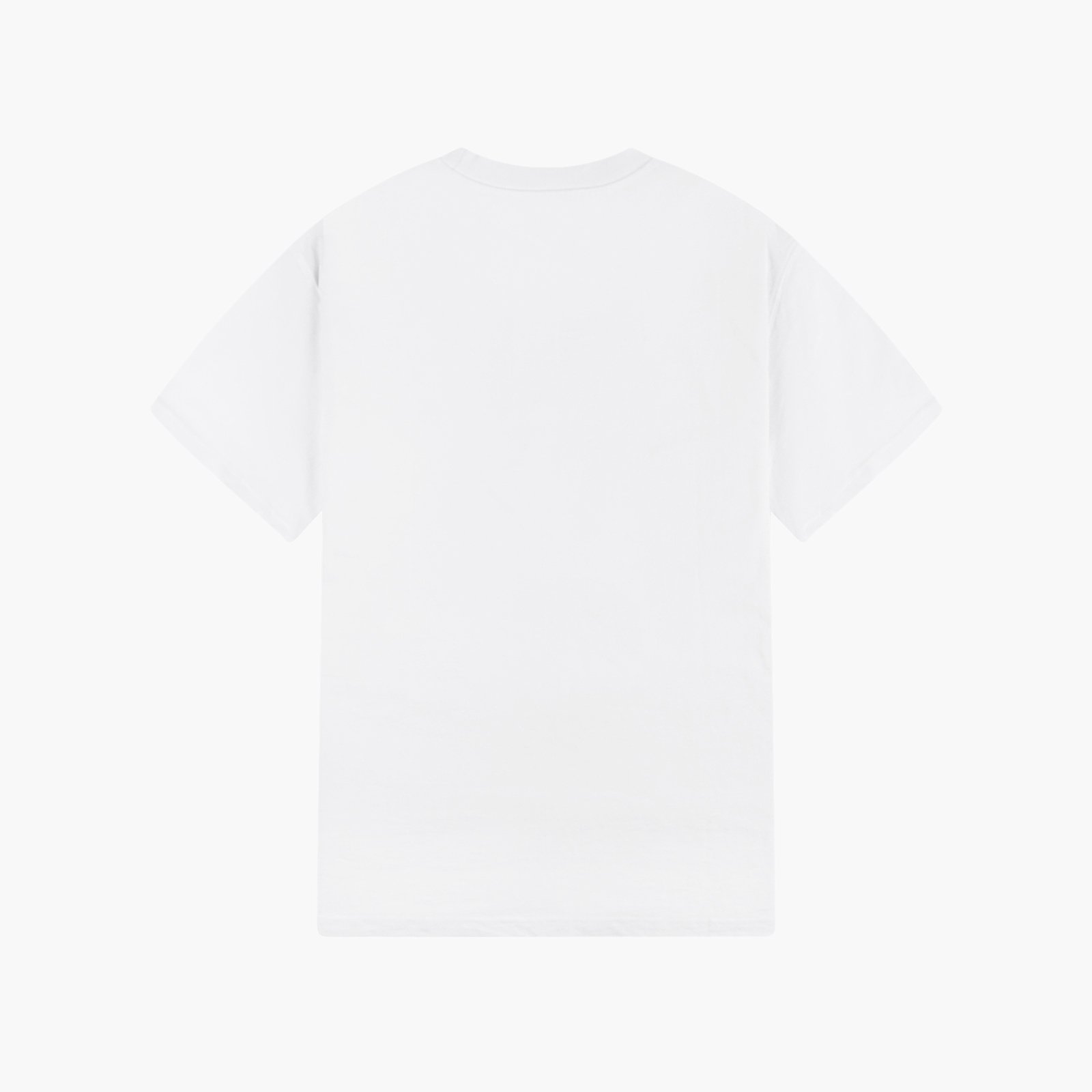 Dickies Porterdale T-Shirt-DK0A4TMOWHX1-White-X-Large-SUEDE Store