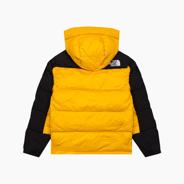 The North Face Hmlyn Down Parka-SUEDE Store